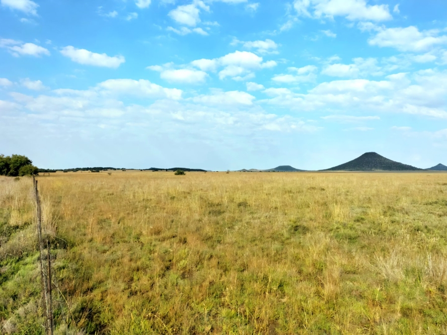 3 Bedroom Property for Sale in Bloemfontein Rural Free State